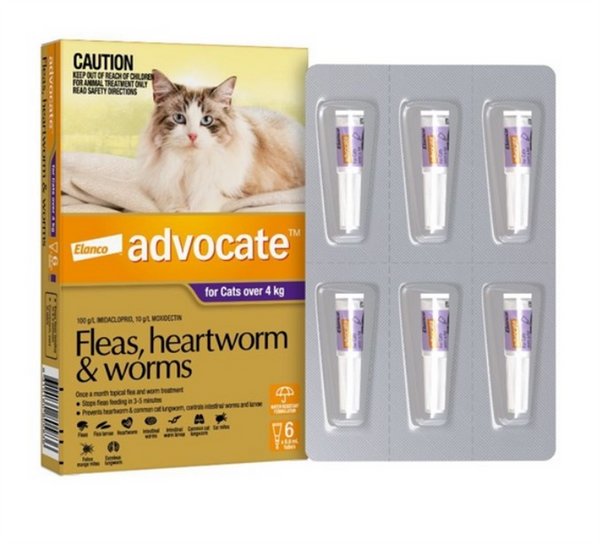 Advocate For Cats 4kg Plus 6s