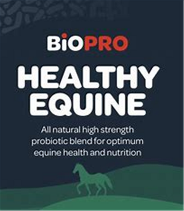 BioPro Healthy Equine 4kg