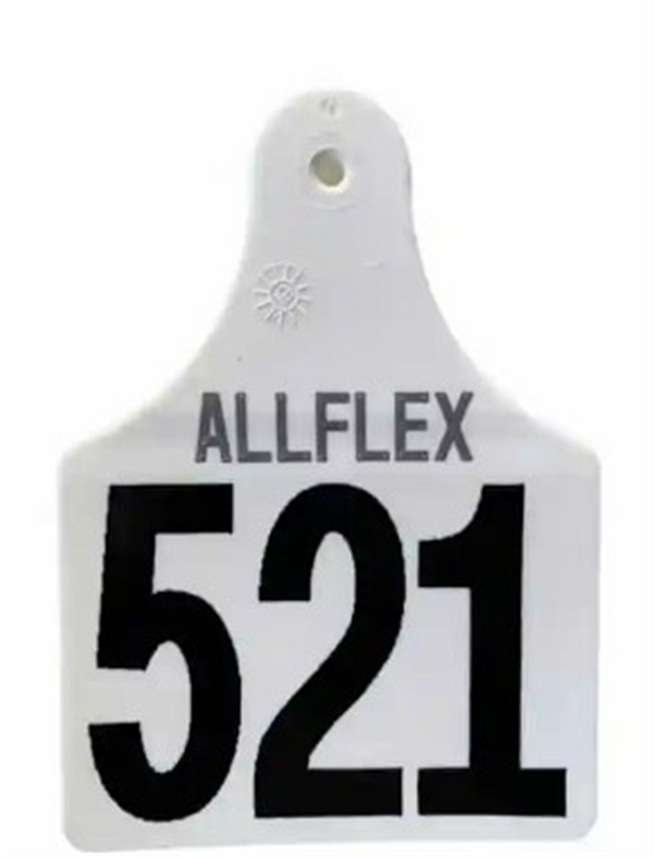 Allflex Male - Large - White