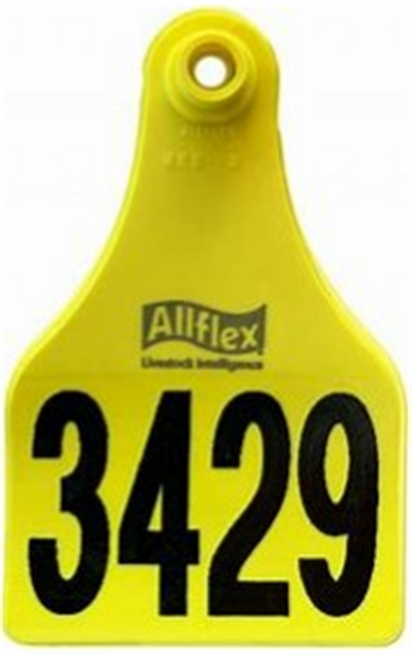 Allflex Male - Maxi - Yellow
