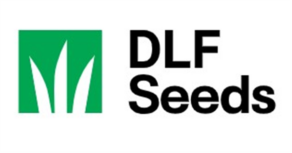 Seed Blend - Yolla Quickfeed per kg  -  DLF