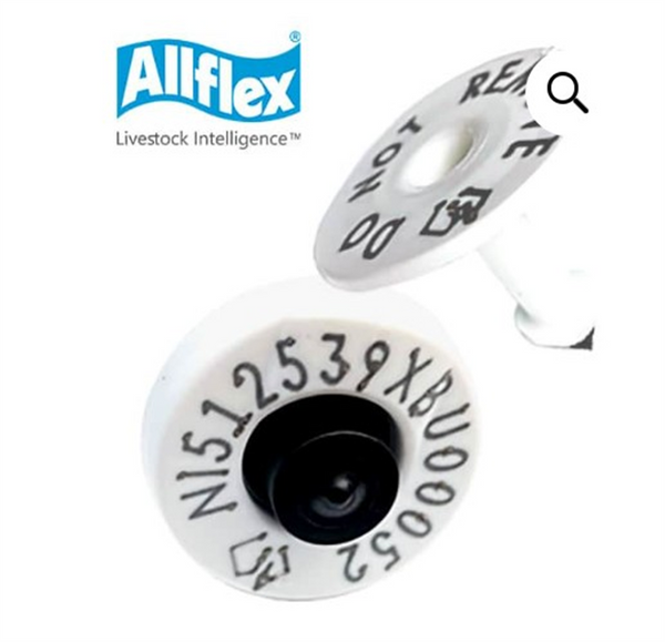 Allflex NLIS Tag - White