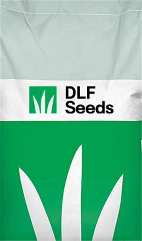 Seed Blend Perennial - Yolla High Performance per kg - DLF
