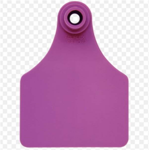 Allflex Female - Large - Purple