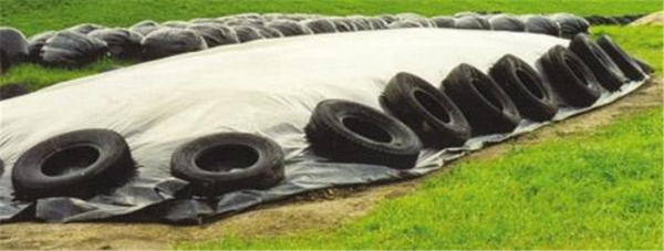 Silage Cover - Pit Cover 12m x 50m x 200um