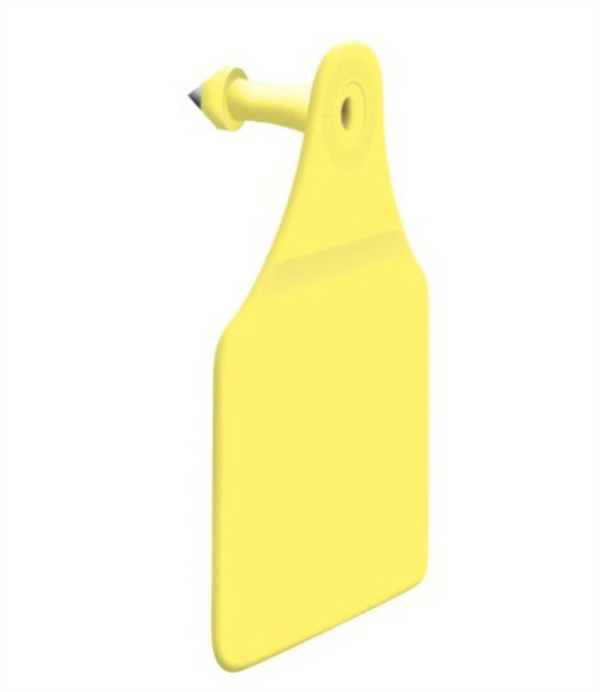 Allflex Male - Large - Yellow