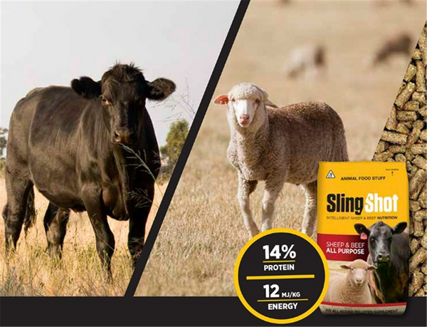Slingshot Beef & Sheep - All Purpose Pellet 20kg