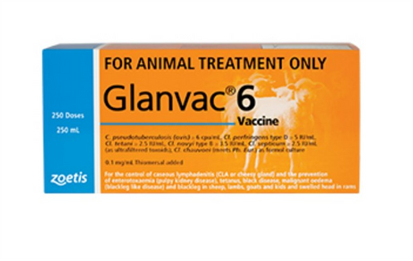 Vaccine Glanvac 6 - 250ml