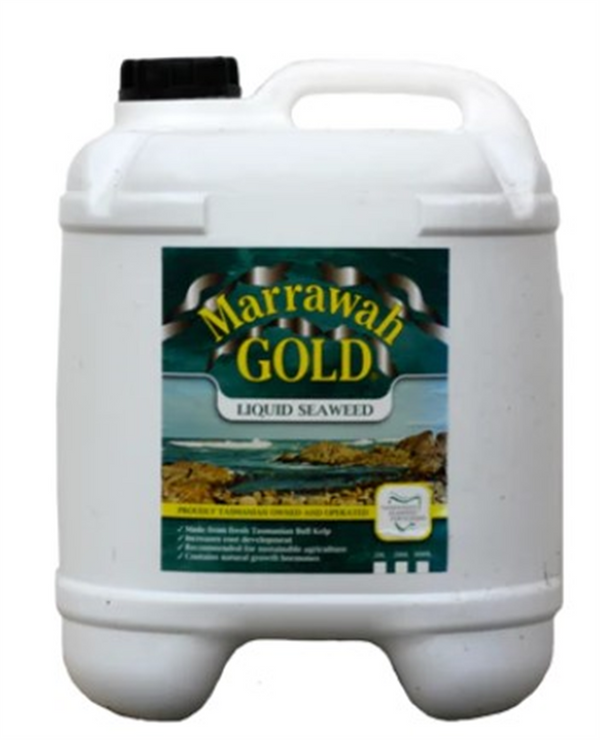 Marrawah Gold 20ltr