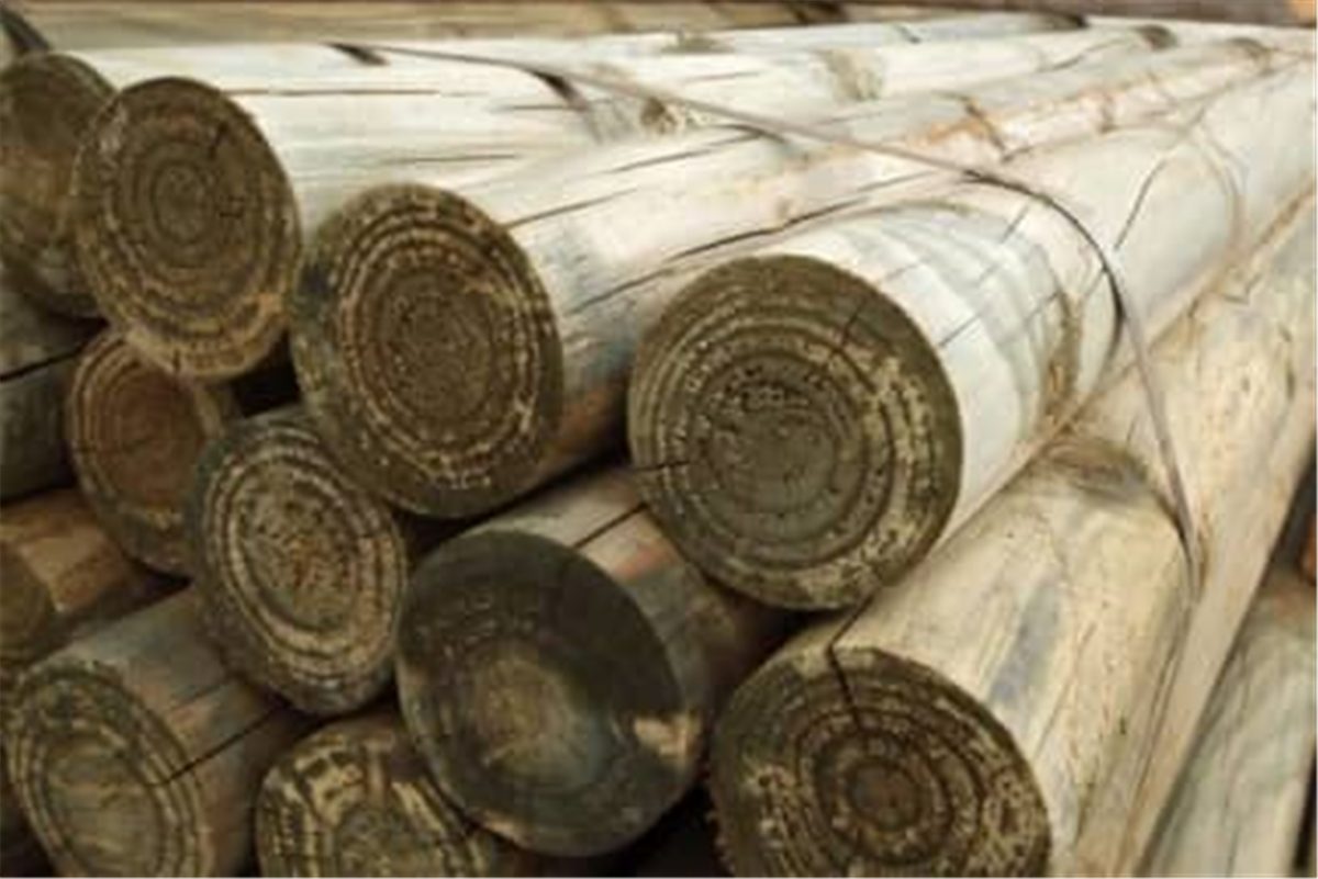 Timber Posts - 95-130mm 4-5 inch – Yolla Co-Op