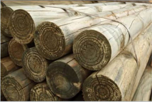Timber Posts - 200-250mm 8-10 Inch