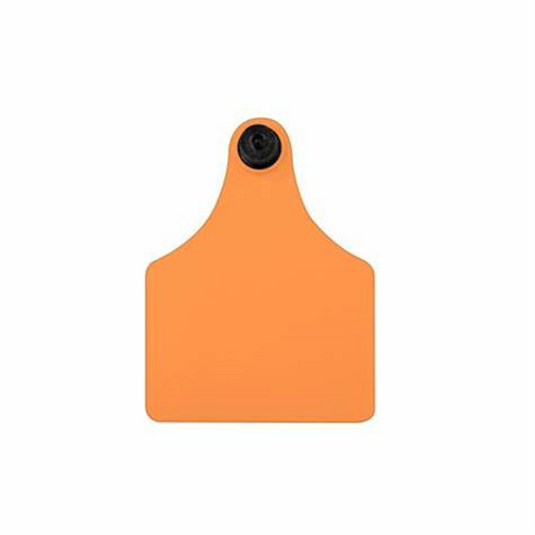 Allflex Female - Maxi - Orange