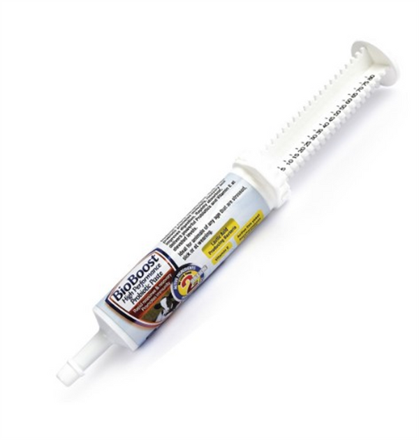 Bio Boost - Probiotic Paste 80g Syringe