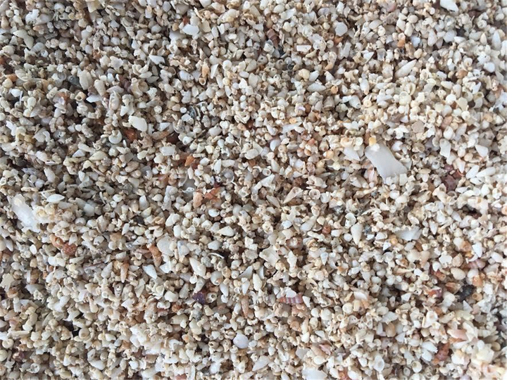 Medium Shell Grit Shell Grit Medium 1 kg – Yolla Co-Op