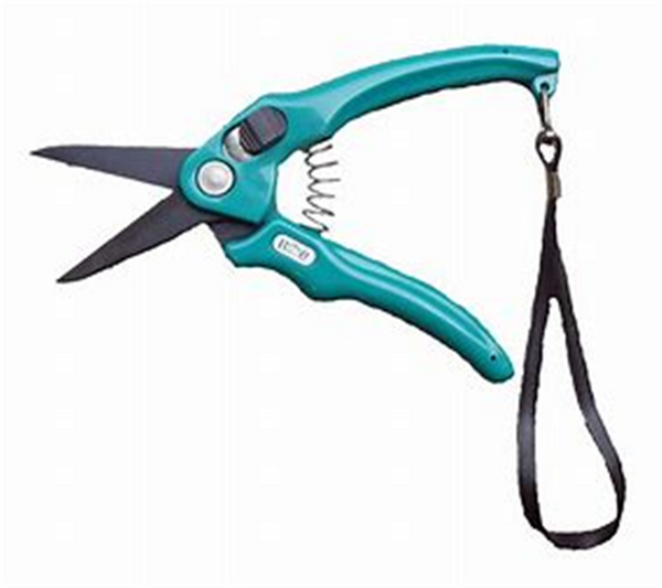 Hoof Snips - Footrot Shears Burgon & Ball