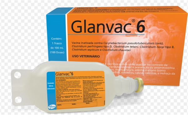 Vaccine Glanvac 6S - 500ml