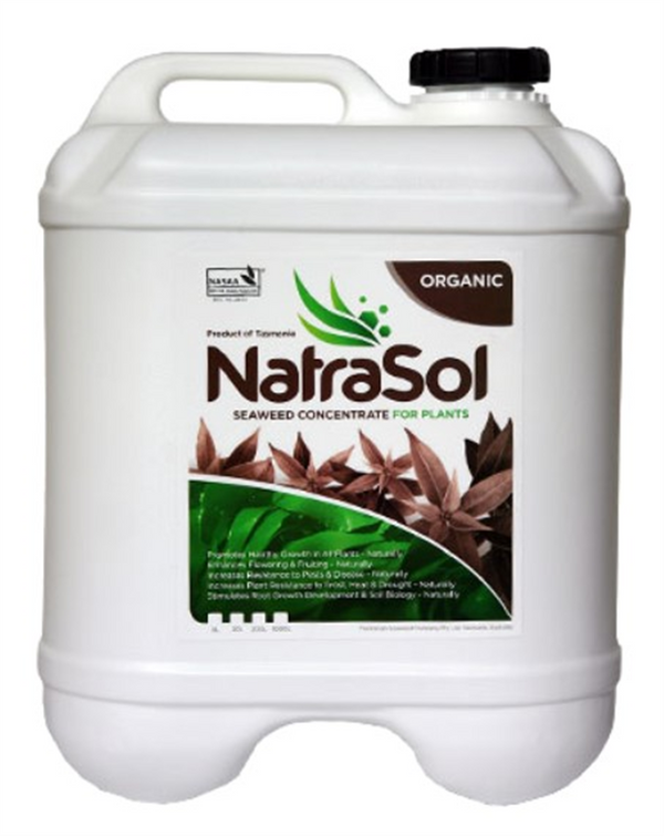 NatraSol Plants Plus - Seaweed Concentrate 20ltr