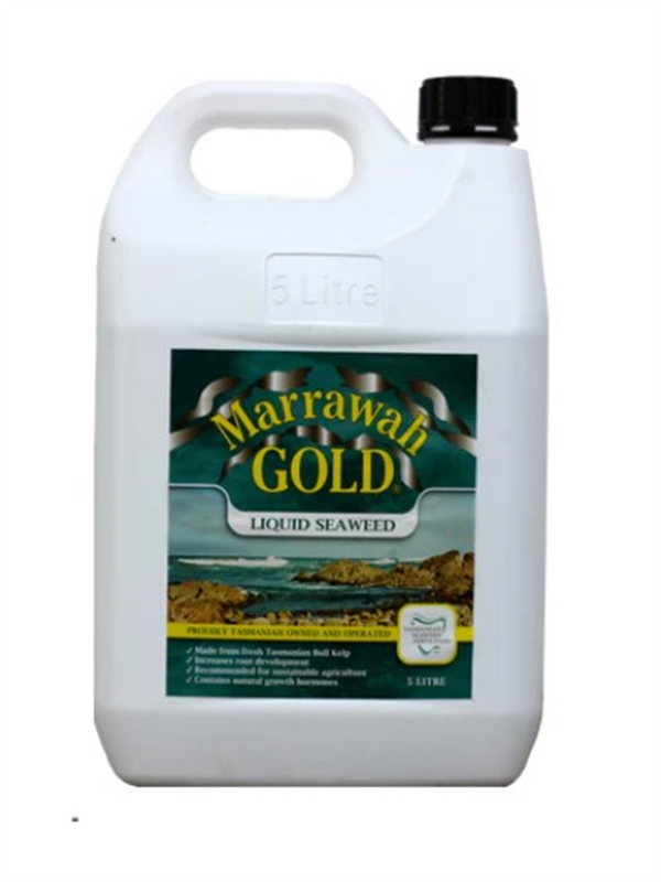 Marrawah Gold 5ltr