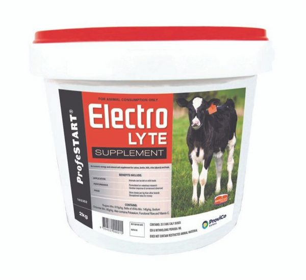 ProfeSTART Electrolyte Powder 4kg