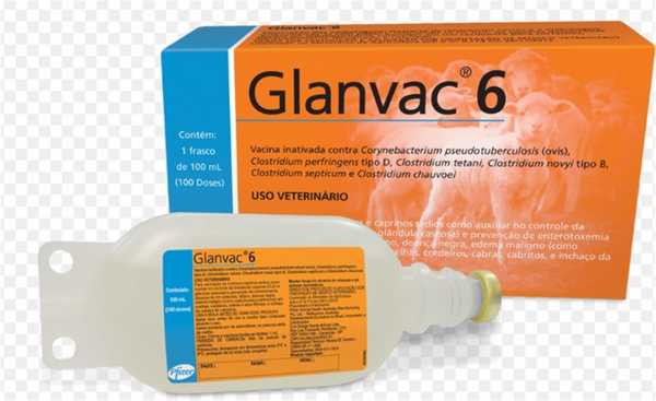 Vaccine Glanvac 6 - 100ml