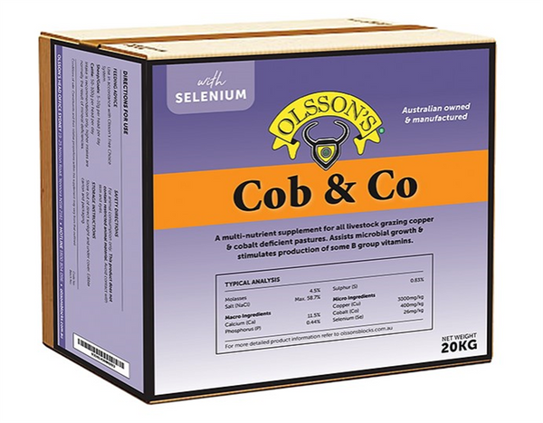 Lick Block - Olssons Cobb & Co 20kg