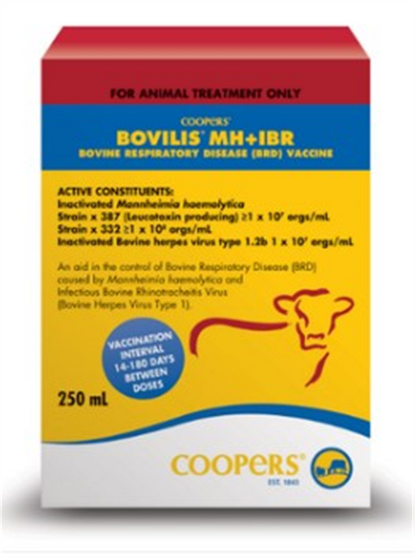 Bovilis MH - IBR 250ml