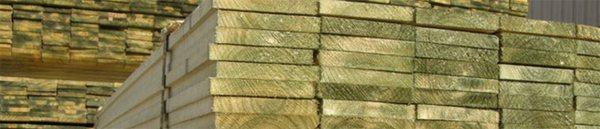 Palings Treated 150mm x 17mm x 1.8m