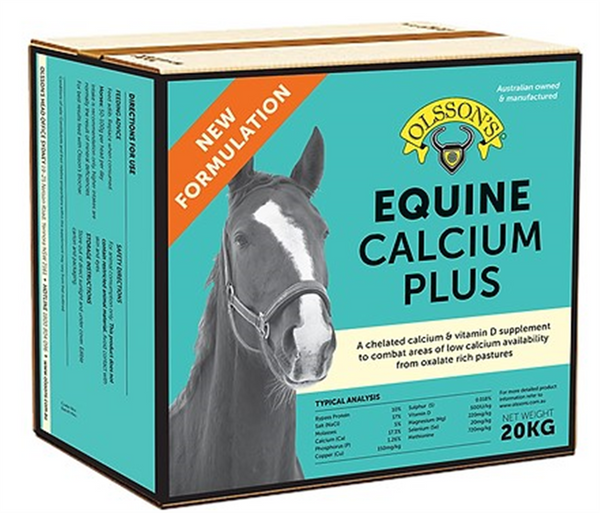 Lick Block - Olssons Equine Calcium Plus Bricks 20kg