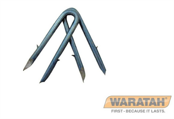 Staples Barbed 40mm x 4.0 -  5kg   Waratah