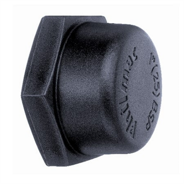 End Cap Female BSP