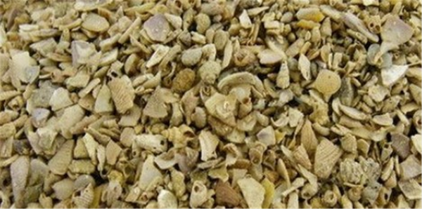 Shell Grit Medium 20kg