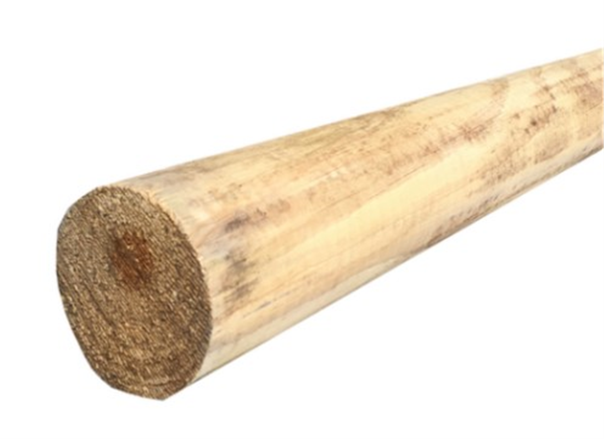 Posts 150mm x 6m - H4 Pine Super Log – Yolla Co-Op