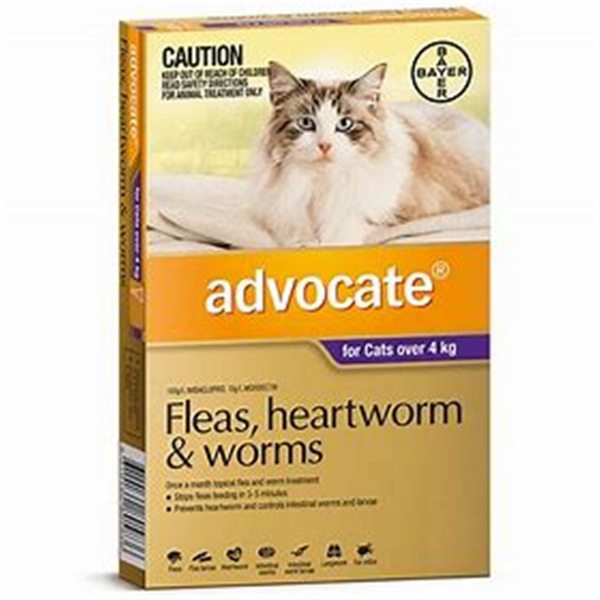 Bayer Advocate Cat 4kg Plus Large 3's