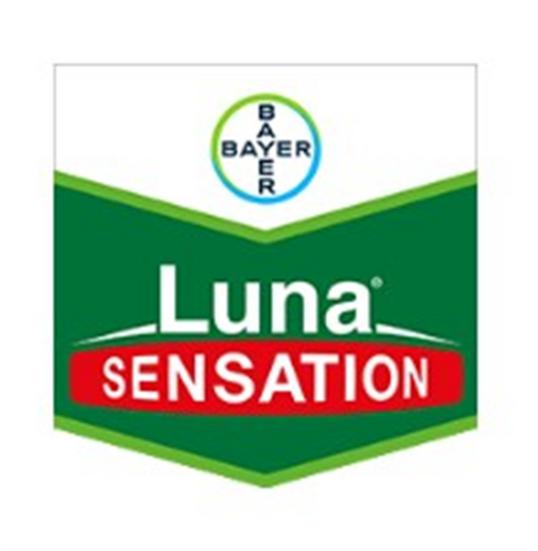 Bayer Luna Sensation SC 3ltr