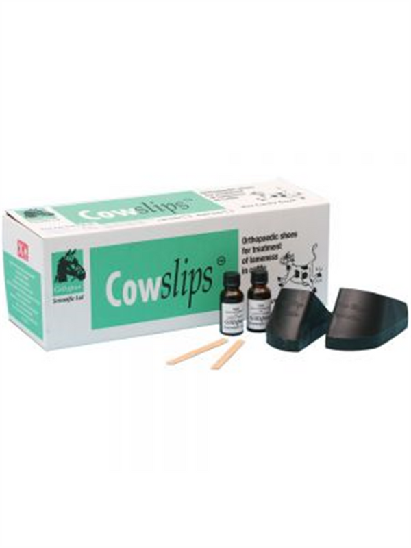 Cowslips Mixed  -  each slip