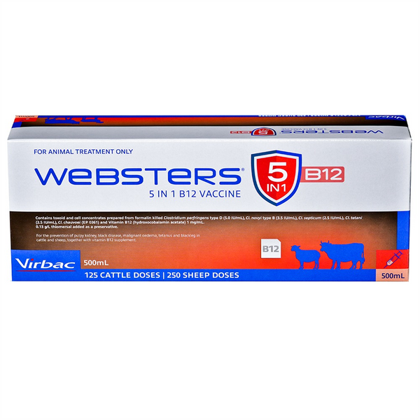 Vaccine Websters 5 in1 B12 - 500ml
