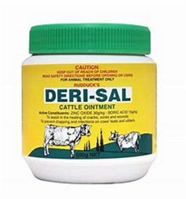 Deri-Sal 500gm