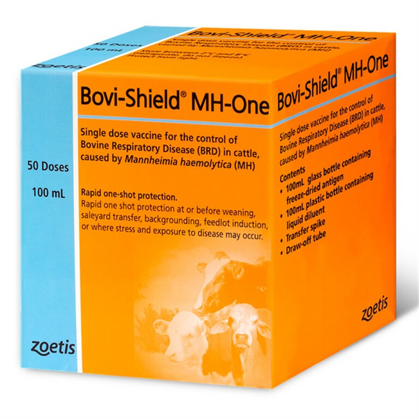 Vaccine Bovi-Sheild MH-One 100ml