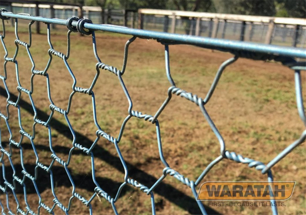 Netting 90 x 4 x 1.4 - 50m Waratah