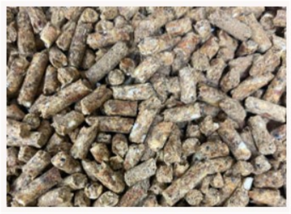 Grain Free Beef Pellets 16% Protien