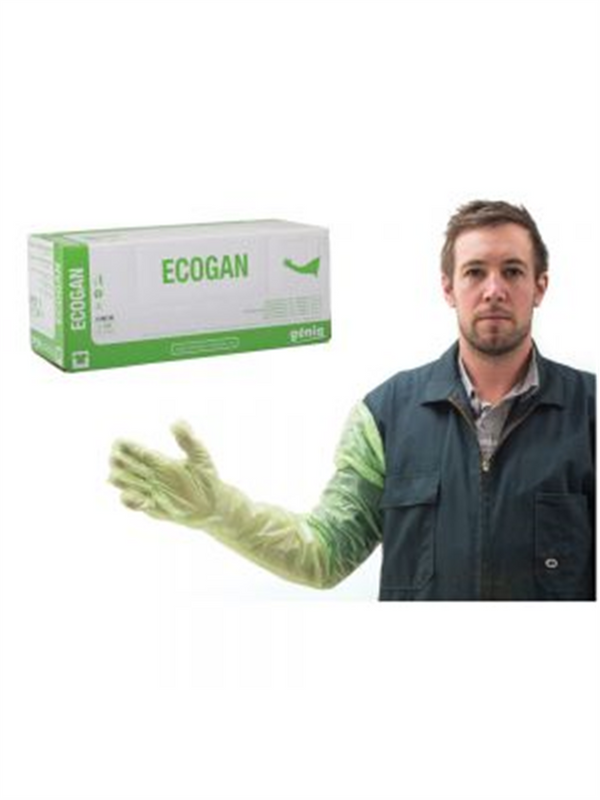 Gloves (A.I) Exam Genia Ecogan Green 100pk
