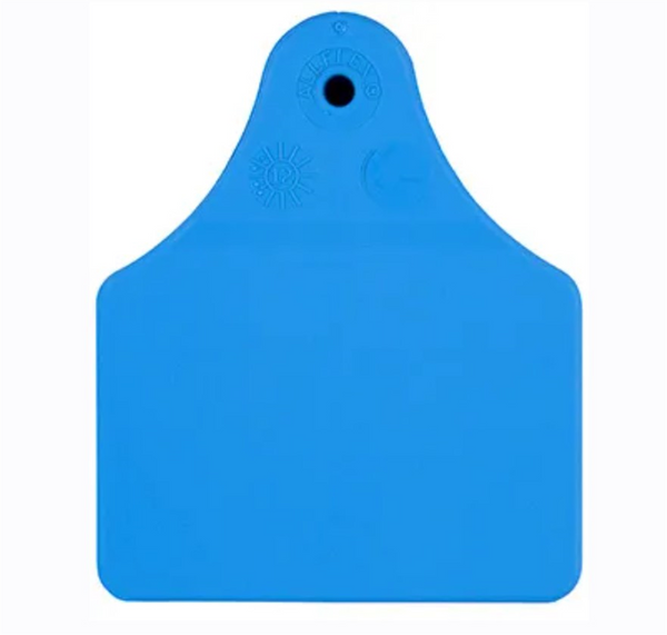 Allflex Male - Maxi - Blue