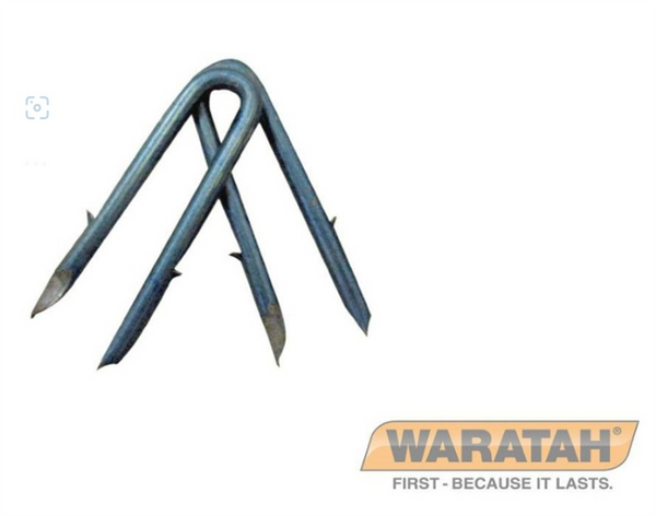 Staples Barbed 32mm x 3.15  - 2.5kg Waratah