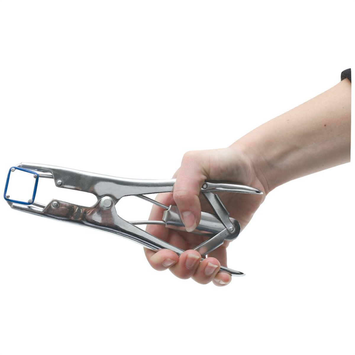 Catrastration Rings Castration Ring Applicator Economy – Yolla Co-Op