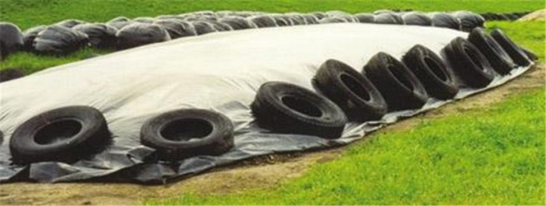 Silage Cover - Pit Cover 15m x 50m x 200um