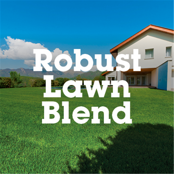 iO Lawn Seed - Robust Blend per kg