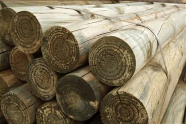 Timber Posts - 150-200mm 6-8 Inch